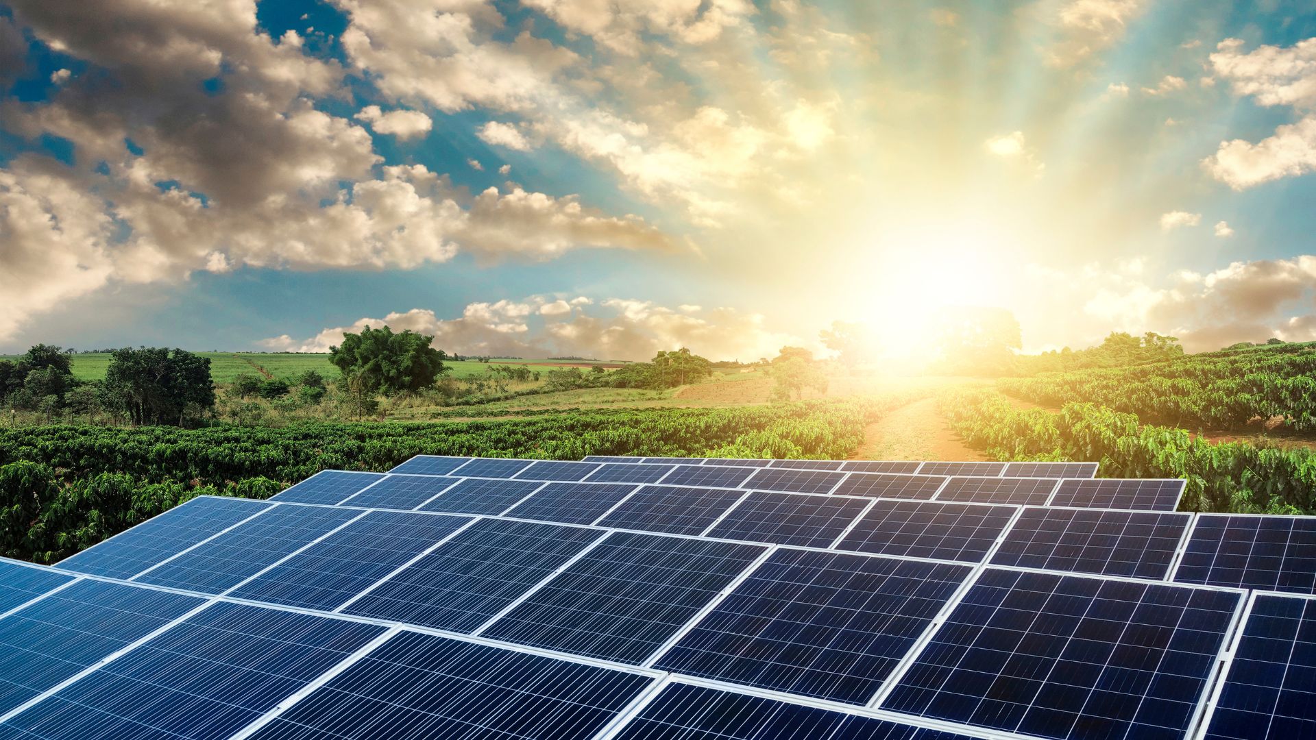 Solar panel price