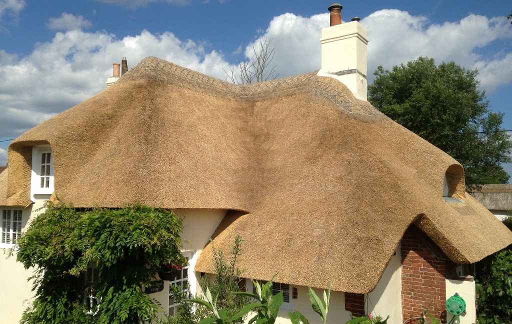 Somerset thatching