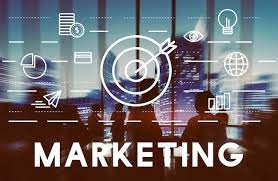 SEO Course in Malerkotla