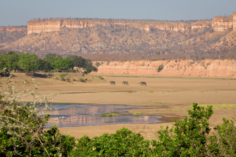 Gonarezhou National Park – The Untamed Wilderness