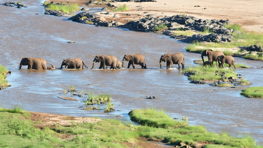 Rainy Season Safaris