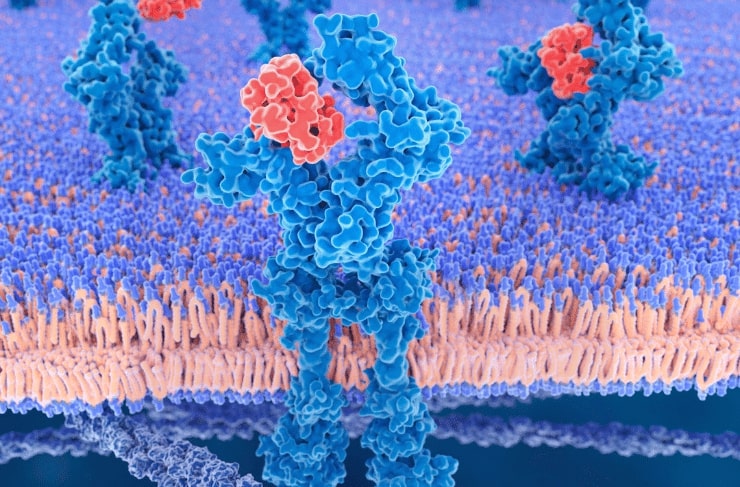 cytokine assay