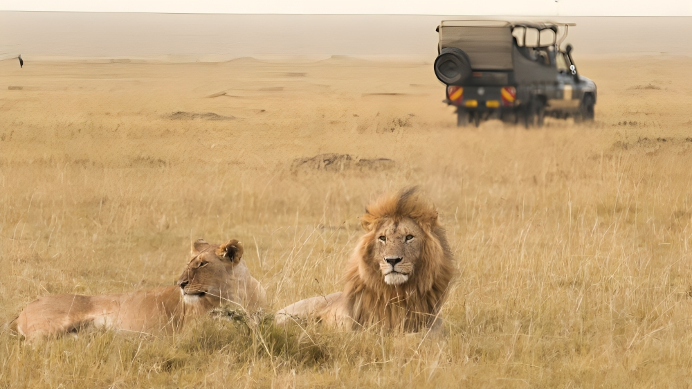 Maasai Mara National Reserve