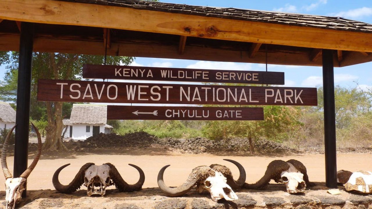 Tsavo National Park