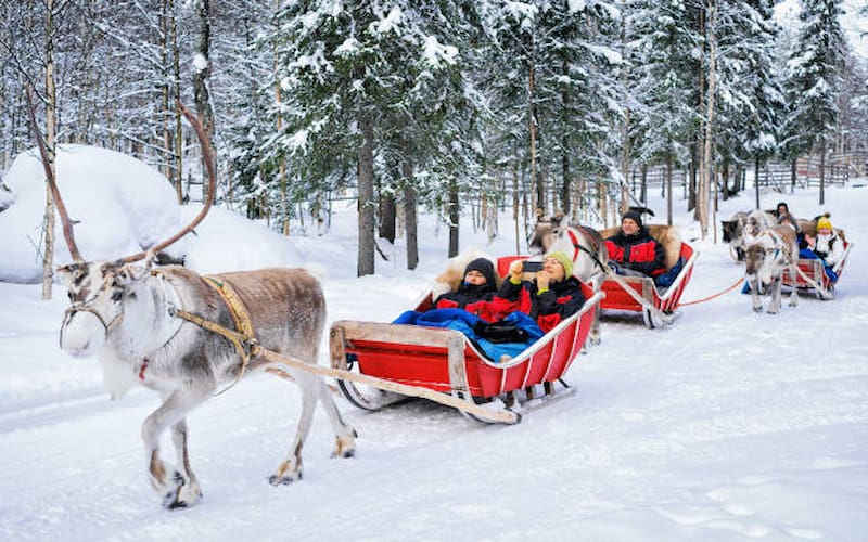Winter Activities to Do in Finland