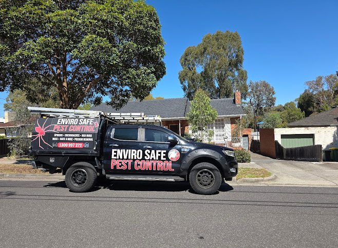 pest control Melbourne