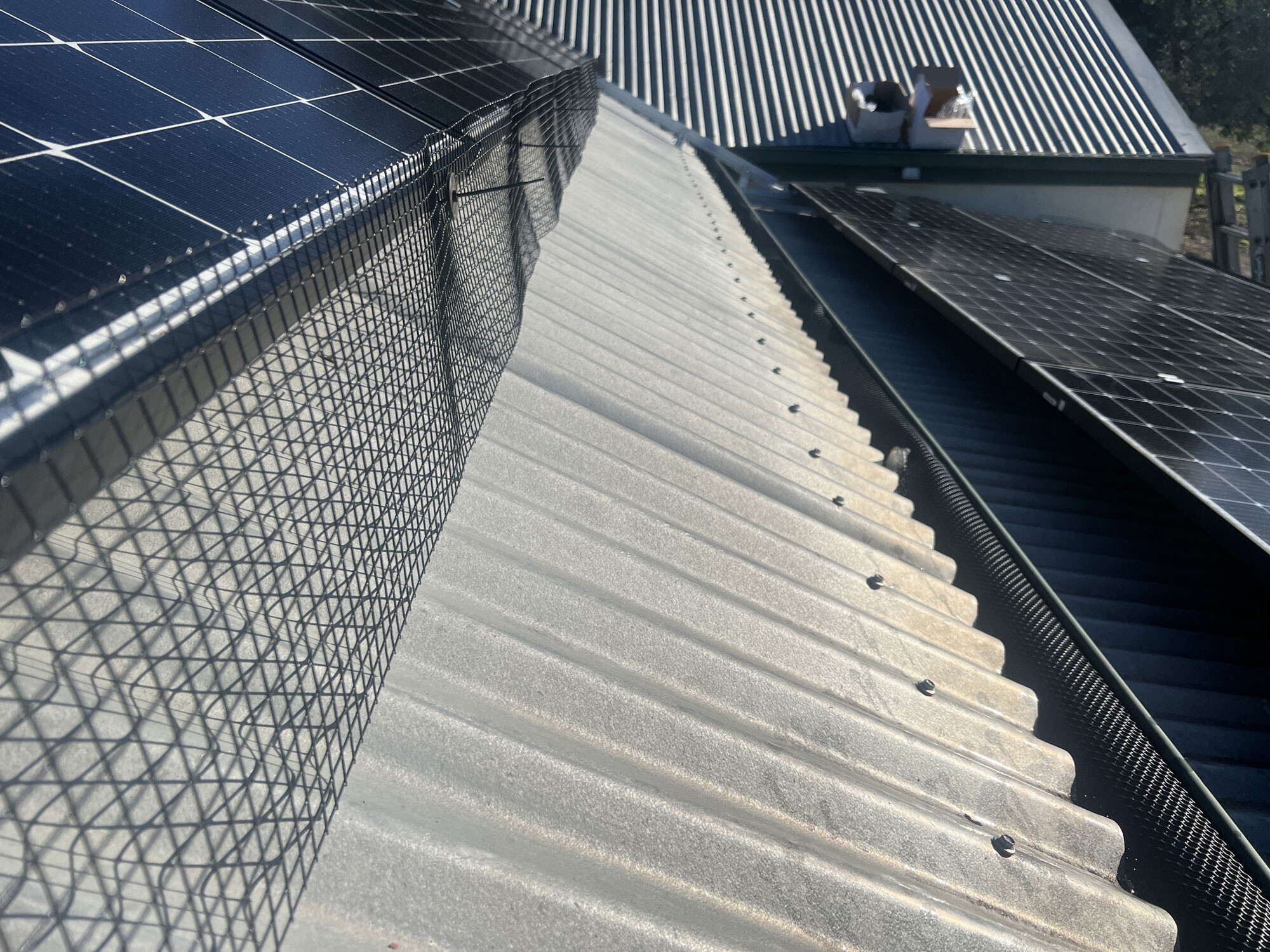 solar panel bird proofing