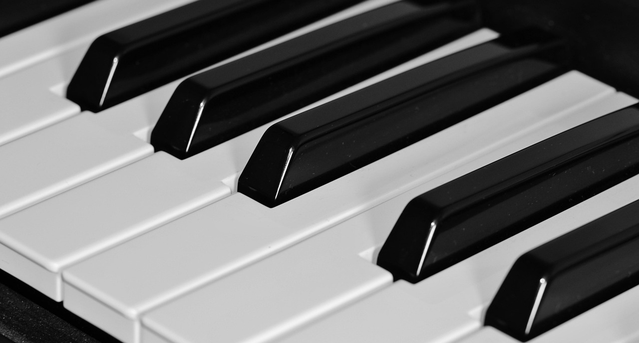 Piano movers packers