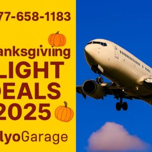 FlyoGarage Thanksgiving