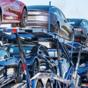 RV Transport Services