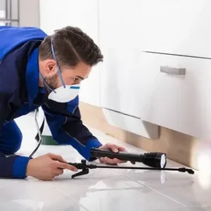 Pest Control in Islamabad – Safe, Effective, and Reliable Solutions by VenusPest