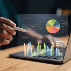 professional seo services