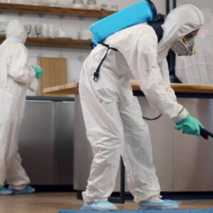 pest control services in dubai