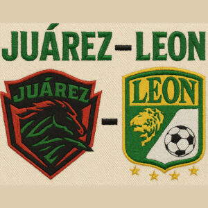 Custom Embroidery Digitizing and Vector Conversion Services