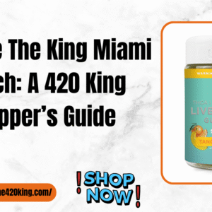 the king miami beach