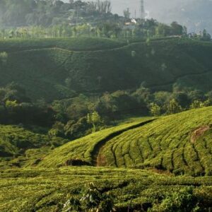 Kerala Holiday Tour Packages