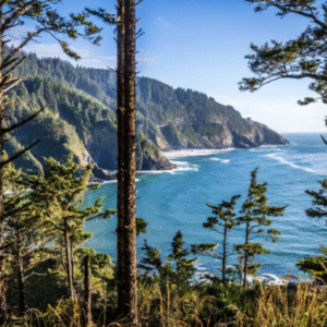 best weed brands in Oregon