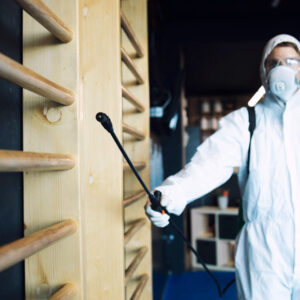 bed bug treatment in Rochester Hills