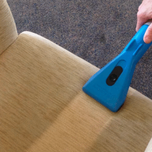Top Carpet Cleaning Services in Coral Gables, Miami fabric protection