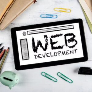 Top Website Development Agency in Delhi​