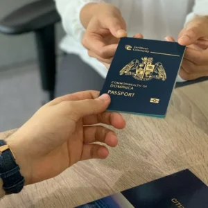 trusted study abroad consultant Lahore