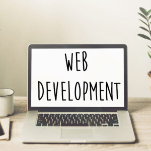 web-development-services