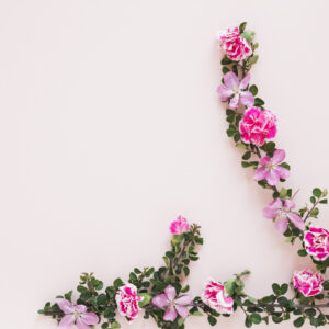 Climbing Roses vs. Rambling Roses