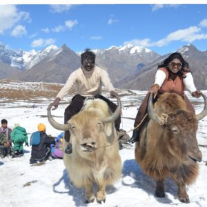 Kullu Manali Tour Packages from Delhi