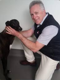 24 hour vet in Keysborough